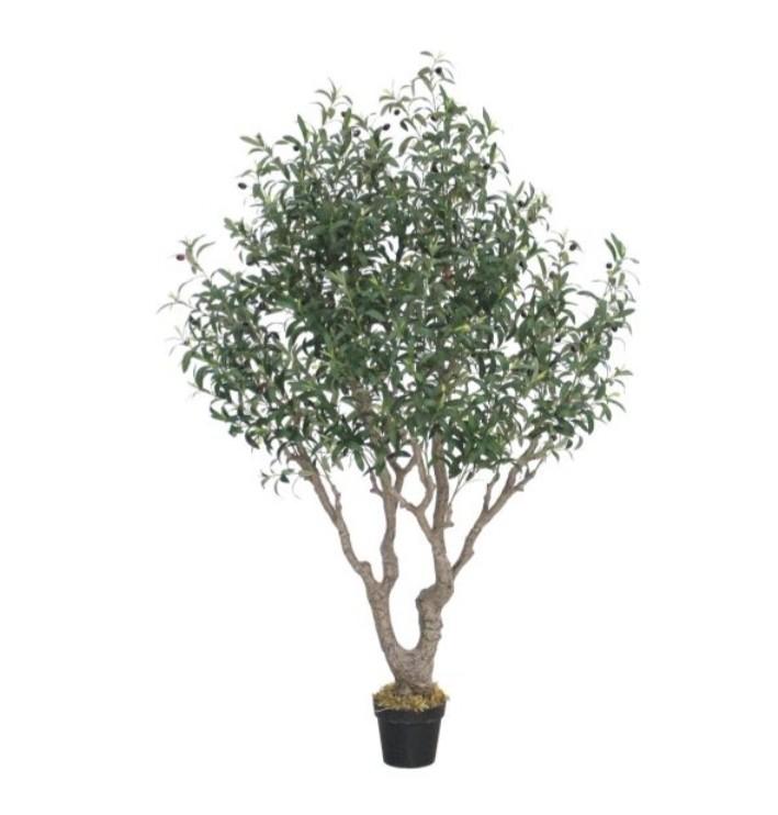 Kunst plant 180 cm olea olijf boom, Ophalen of Verzenden, Nieuw