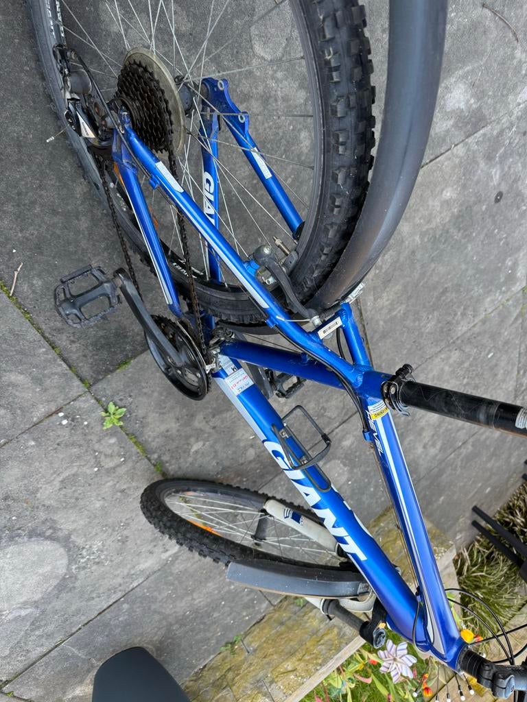 Giant Mountainbike 26 inch, Fietsen en Brommers, Fietsen | Mountainbikes en ATB, Hardtail, Heren, Zo goed als nieuw, 53 tot 57 cm