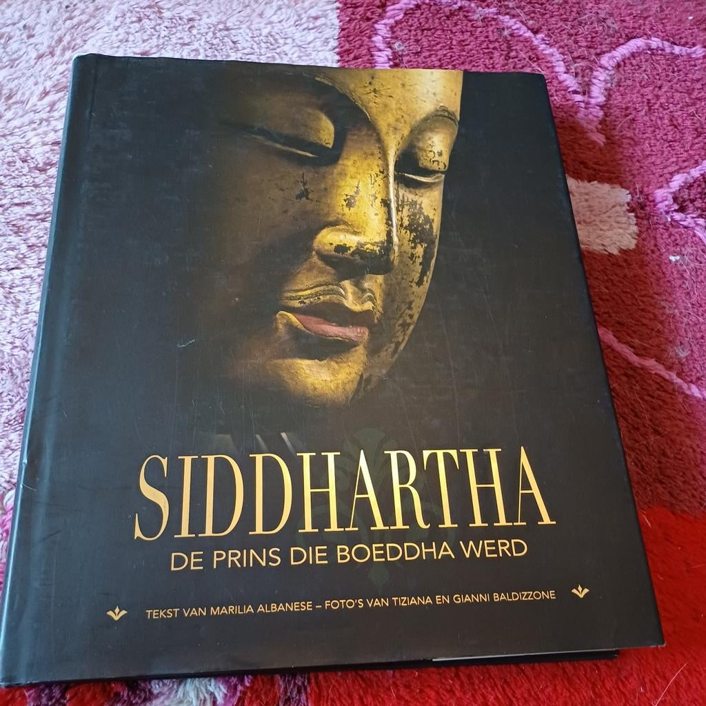 M. Albanese - Siddharta, Achtergrond en Informatie, M. Albanese; Tiziana Baldizzone, Ophalen of Verzenden, Zo goed als nieuw