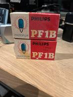 Philips Photoflux PF1B flitslampen - Nieuw in doos (2 stuks), Ophalen of Verzenden, Nieuw, Compact, Overige Merken