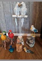 Vogel verzameling, Ophalen