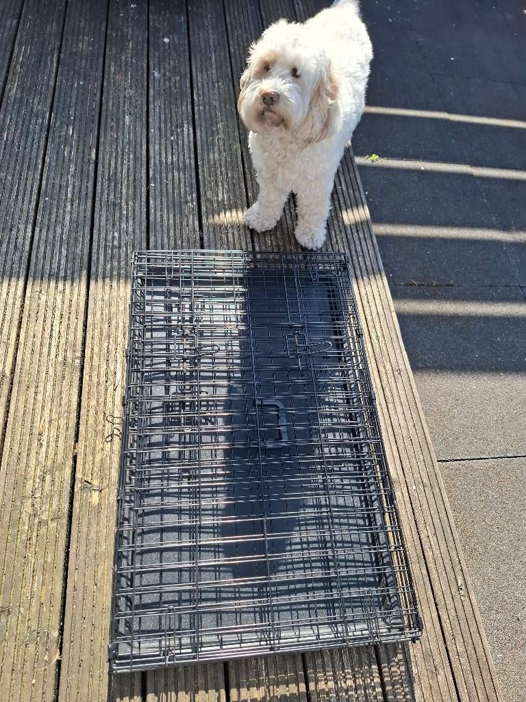 Honden Bench, Dieren en Toebehoren, Ophalen, Zo goed als nieuw