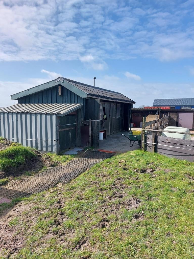 Pensioenstalling aangeboden voor ruin, Weidegang