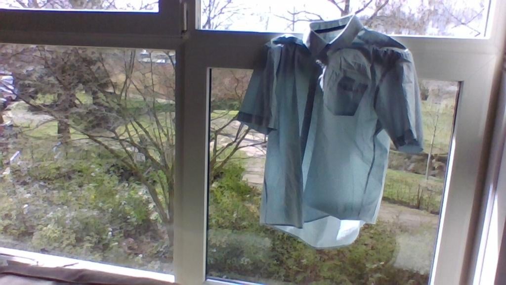 korte mouwen heren blouse maat L, Ophalen, Blauw, Halswijdte 41/42 (L), Gedragen