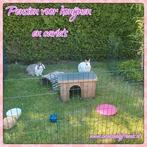 Konijnen en Cavia Pension, vakantie opvang