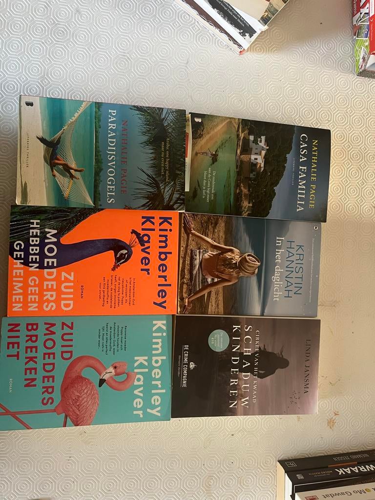 Diverse boeken: fictie, non-fictie en meer, Ophalen of Verzenden, Gelezen, Nederland