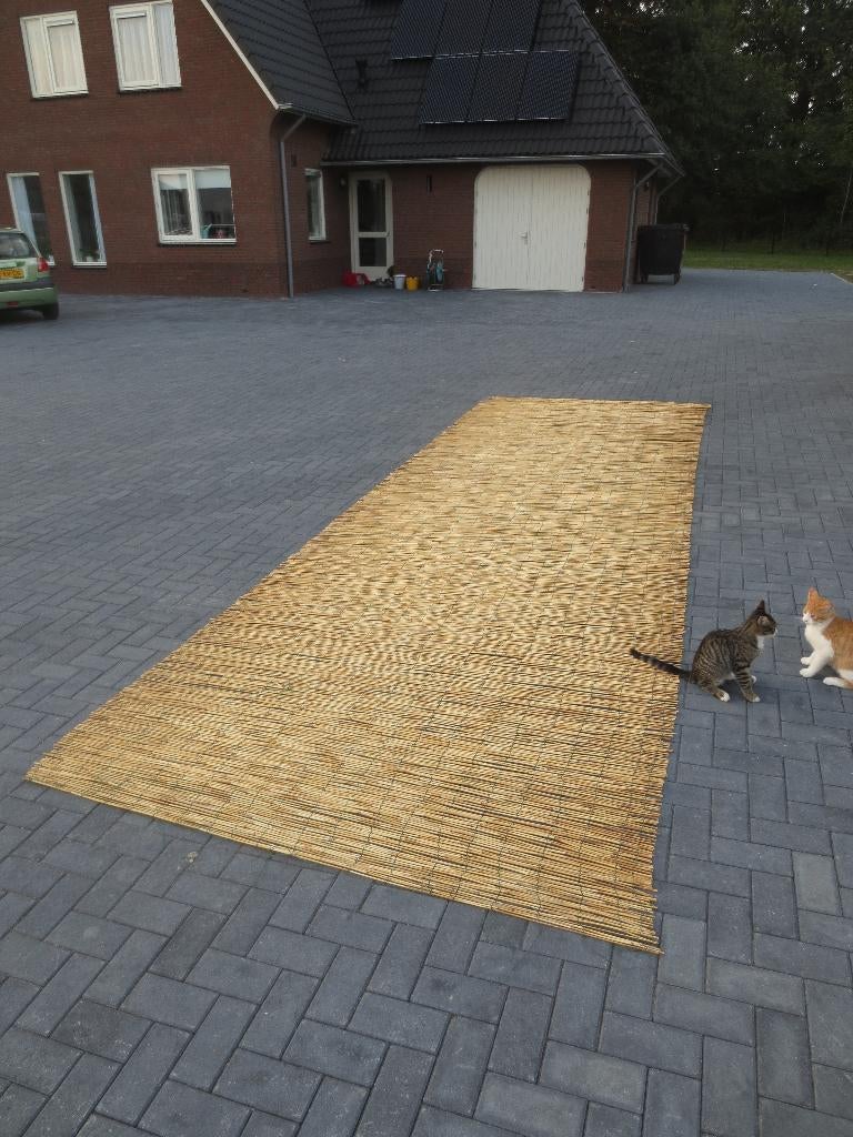 Lentedeal!! Mooie rietmatten 2 meter hoog x 5,50/6 meter!!, Ophalen, Overige materialen, 200 cm of meer, Nieuw