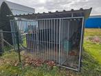 hondenren kennel buiten, Dieren en Toebehoren, Ophalen, Zo goed als nieuw, 110 cm of meer, 100 cm of meer