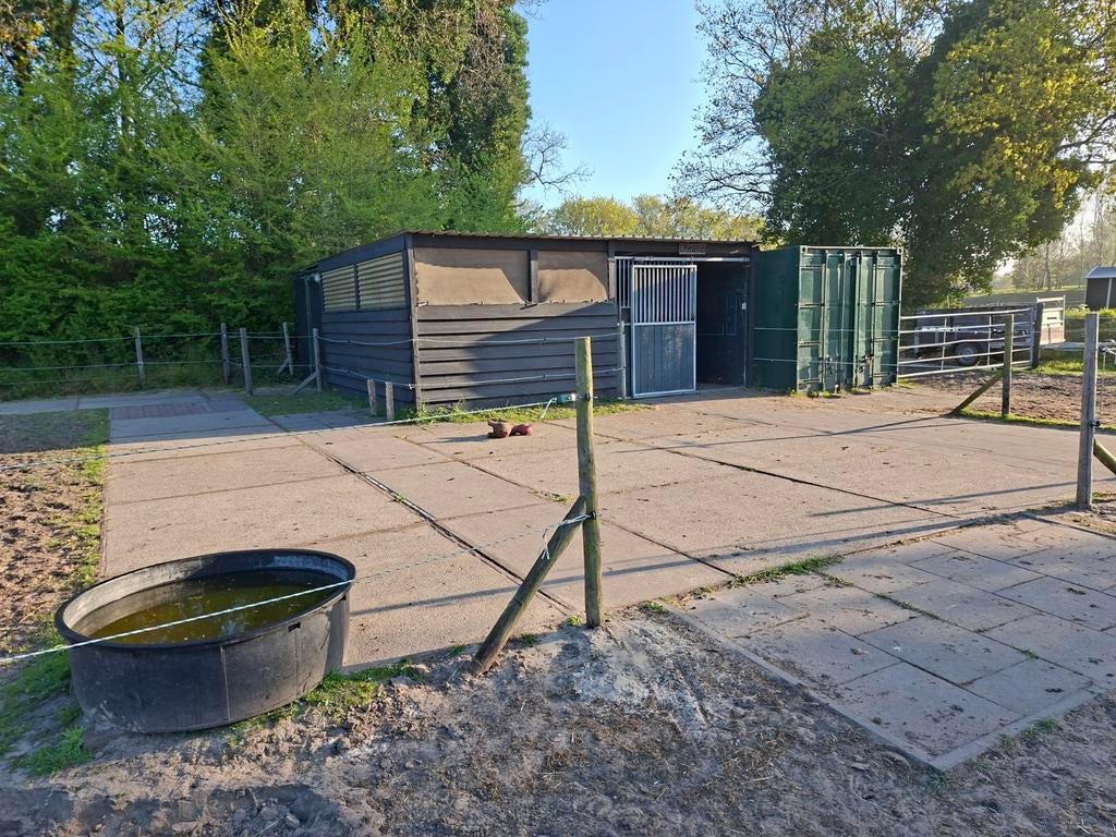 Stalling en weidegang in Ouddorp, Weidegang