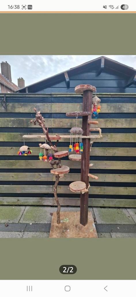 Speelpaal voor papegaai, Ophalen