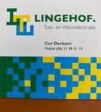 Photinia Little robin bol op stam van 80 cm € 39,95 pst, Ophalen of Verzenden, Zomer, Volle zon, 100 tot 250 cm