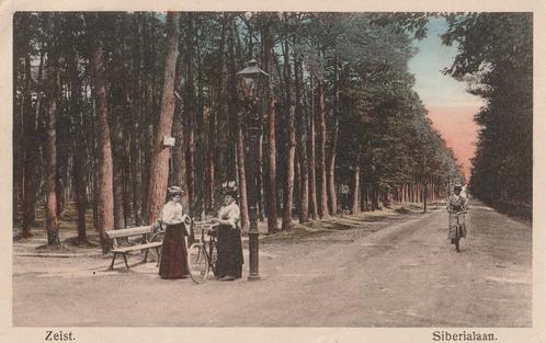 Zeist - 314 - twa : Sibriëlaan - nu Arnhemse Bovenweg, Verzamelen, Ansichtkaarten | Nederland, Utrecht, Voor 1920, Verzenden