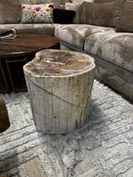 Unieke salontafels bijzettafels versteend hout fossiel, Ophalen of Verzenden