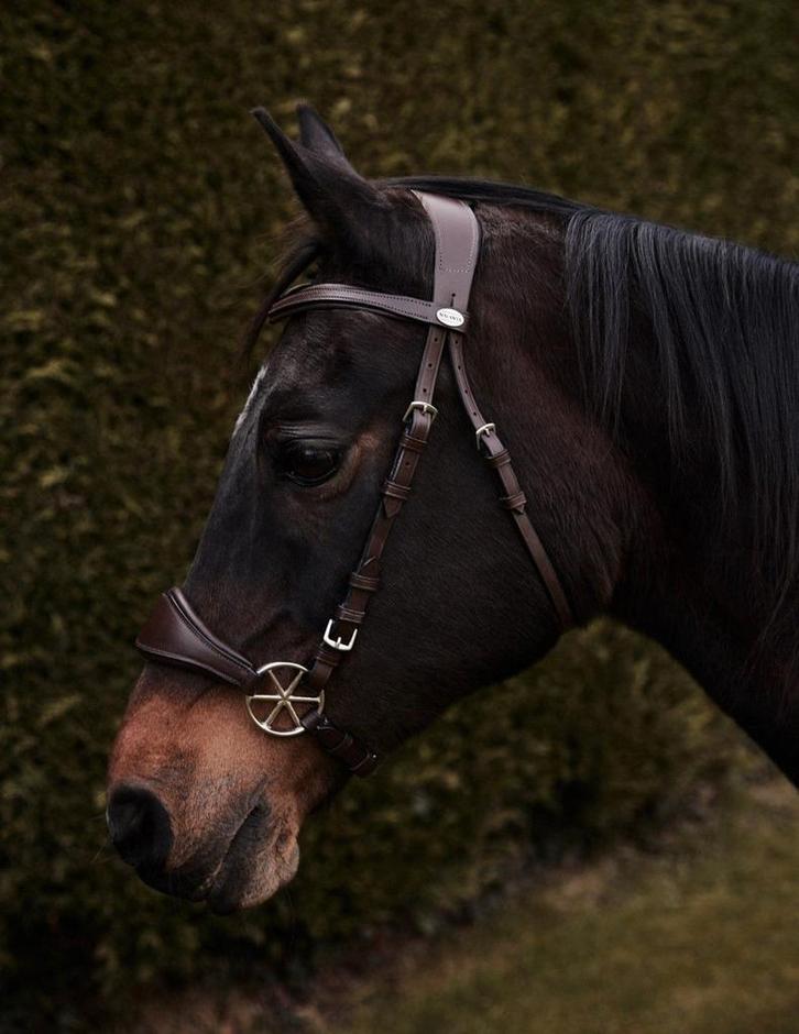 Bitloos hoofdstel Nalanta Bruin Pony, Dieren en Toebehoren, Paarden en Pony's | Hoofdstellen en Tuigage, Nieuw, Ophalen of Verzenden