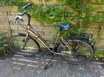 Gazelle Chamonix t24, Ophalen, Gebruikt, Versnellingen, 50 tot 53 cm
