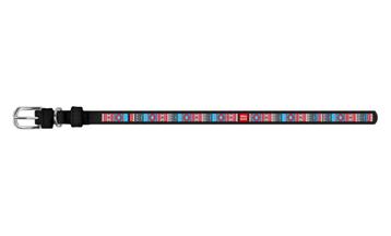 WAUDOG Ethno Lederen Halsband Zwart Nek 19-25 cm KOOPJE!!! beschikbaar voor biedingen