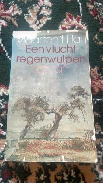 Een vlucht regenwulpen beschikbaar voor biedingen