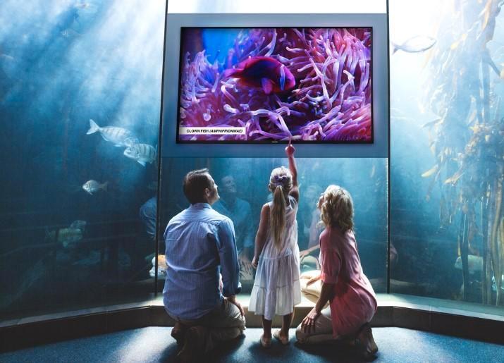 Philips 75BDL4550D/00 75” Professionele 4K Signage Display, Computers en Software, Monitoren, Zo goed als nieuw, 60 Hz of minder