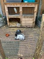 Konijnenhok groot., Dieren en Toebehoren, Knaagdieren en Konijnen | Hokken en Kooien, Ophalen, 110 cm of meer, Zo goed als nieuw