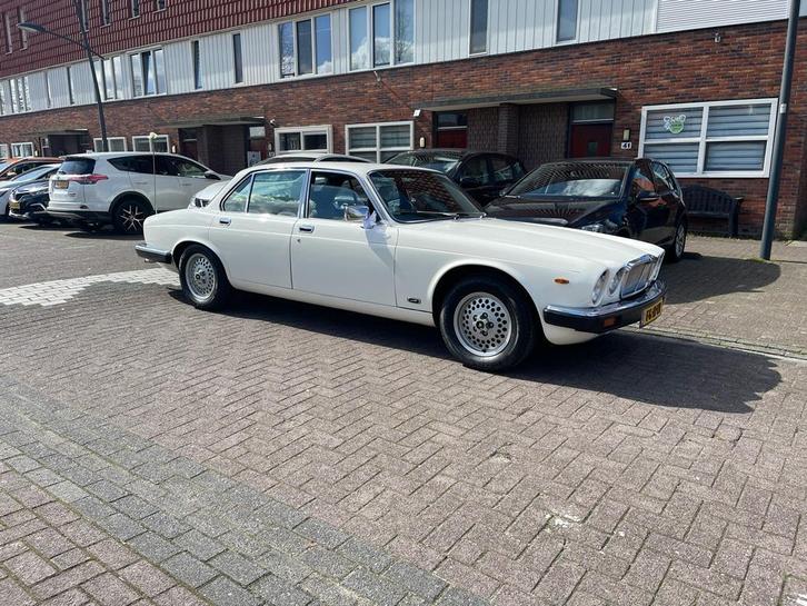 Trouwauto huren met chaffeur, Diensten en Vakmensen, Verhuur | Auto en Motor, Trouwauto, Met chauffeur