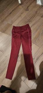 Kingsland Rijlegging maat 158/164., Kleding | Dames, Overige typen, Maat 34 (XS) of kleiner, Kingsland, Zo goed als nieuw