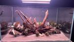 Optiwhite aquarium, Dieren en Toebehoren, Ophalen, Zo goed als nieuw, Leeg aquarium