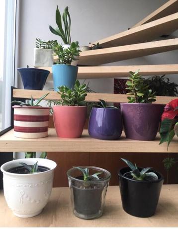 Kleurrijke vintage bloempotten diverse maten beschikbaar voor biedingen