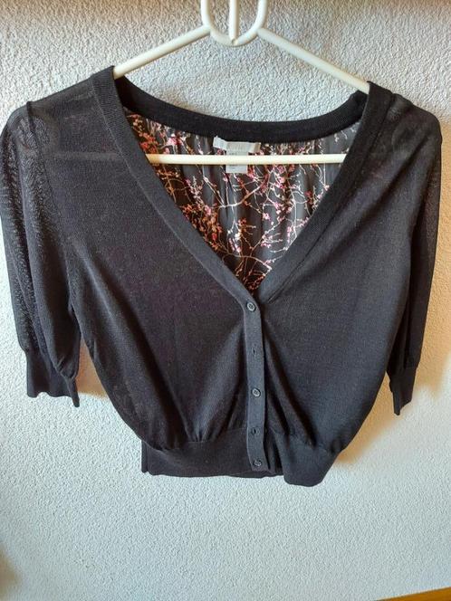 Zwart kort vestje met zijde / rose achterpand met 3/4 mouw., Kleding | Dames, Truien en Vesten, Zo goed als nieuw, Zwart, Ophalen of Verzenden