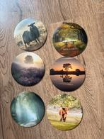 Onderzetters Drenthe Foto's, Huis en Inrichting, Ophalen of Verzenden, Nieuw, Glas of Kopje