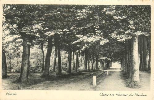 (387-249-025) Ermelo Onder het Lommer der Beuken, Verzamelen, Ansichtkaarten | Nederland, Gelderland, Verzenden