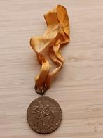 penning De Grote Geus 1936 Universiteit Utrecht Vredenburg, Ophalen of Verzenden, Brons