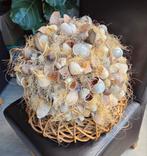 Schelpen bol op krans, Ophalen of Verzenden, Zo goed als nieuw