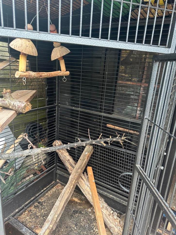 Papegaai kooien, Dieren en Toebehoren, Vogels | Hokken en Kooien, Gebruikt, Vogelkooi, Metaal, Ophalen
