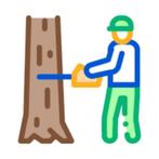 Bomen zagen , rooien, omzagen, Ophalen, Volle zon, Overige soorten