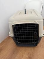 Grote Reismand, Dieren en Toebehoren, Ophalen of Verzenden