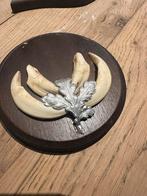 "HENDRICKX " Tanden Wild Zwijn op Houten Schildje., Verzamelen, Dierenverzamelingen, Ophalen, Gebruikt, Wild dier, Overige typen