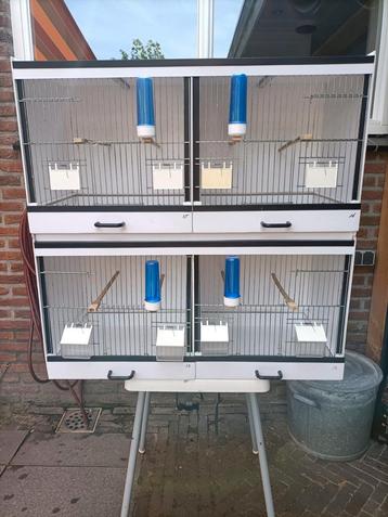 2x 2 Delig Bakker broedkooien beschikbaar voor biedingen