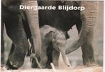 Rotterdam Diergaarde Blijdorp -Olifantenbaby 1996., Verzamelen, Verzenden, 1980 tot heden, Ongelopen, Zuid-Holland
