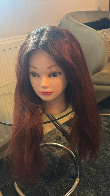 Echt haar pruik / lace wig / haarwerk beschikbaar voor biedingen