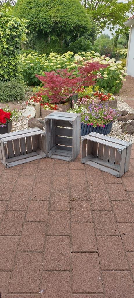 Drie  veilingkisten  vintage, Huis en Inrichting, Woonaccessoires | Kisten, Zo goed als nieuw, Minder dan 50 cm, Minder dan 50 cm