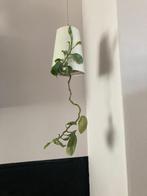 Sky planter plantenpotjes 3x, Kunststof, Vierkant, Binnen, Ophalen of Verzenden
