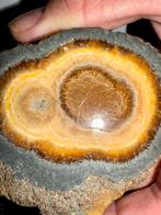 Bariet polen, Verzamelen, Mineralen en Fossielen, Ophalen of Verzenden