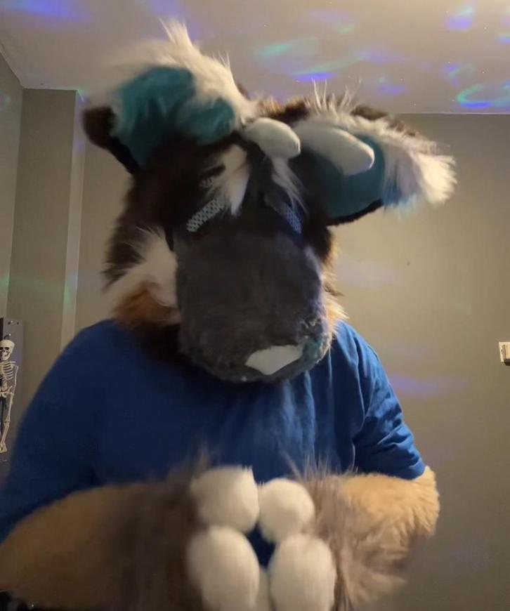 Fursuit hoofd, Hobby en Vrije tijd, Kostuums, Theaterbenodigdheden en LARP, Zo goed als nieuw, Ophalen of Verzenden
