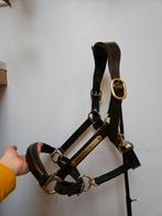NIEUW Bruin/Goud lederen halster - cob of full, Dieren en Toebehoren, Paarden en Pony's | Hoofdstellen en Tuigage, Ophalen of Verzenden