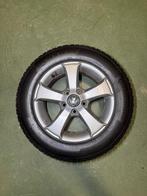 Golf 5/6/7 15 inch velgen + 195/65/15 continental winterset, Ophalen, Gebruikt, 15 inch, Banden en Velgen