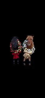 Shetlanders te koop, Twee personen