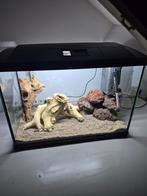 Superfish 100l 68cm, Dieren en Toebehoren, Vissen | Aquaria en Toebehoren, Ophalen, Zo goed als nieuw, Leeg aquarium