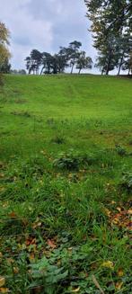 Weidegang met schuilstal aangeboden, Dieren en Toebehoren, Stalling en Weidegang, Weidegang, 1 paard of pony