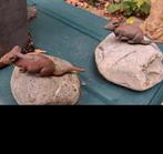Tuindecoratie ratjes., Tuin en Terras, Tuinbeelden, Ophalen of Verzenden