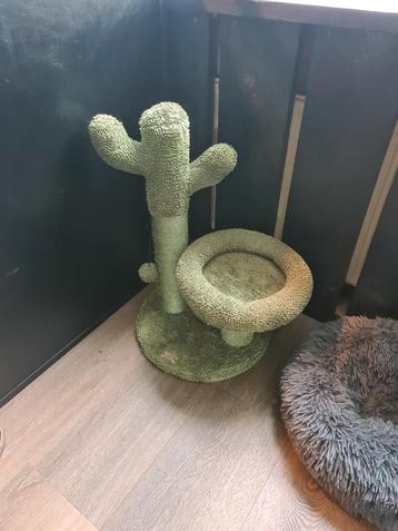 Krabpaal (model cactus)  beschikbaar voor biedingen